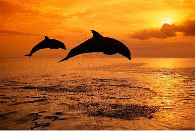 《赤影战士KAGE》面向各大平台公布